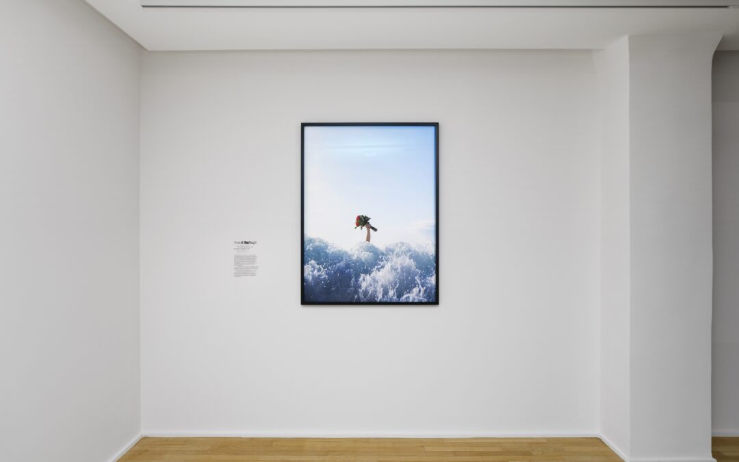 Ce que l’Horizon nous promet…