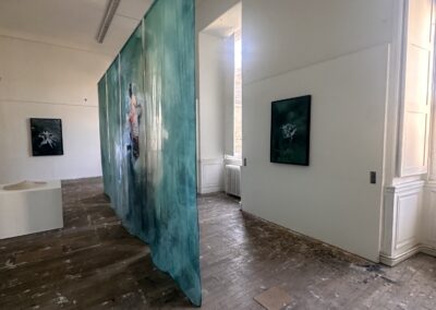 Vue de l'exposition — L'eau comme chambre noire, ZOOM, ENSAD Dijon, salle Bossu 1