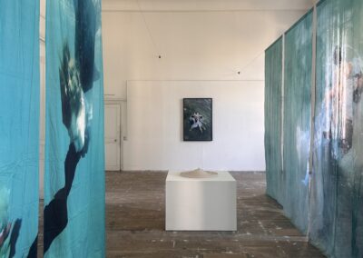 Vue de l'exposition — L'eau comme chambre noire, ZOOM, ENSAD Dijon, salle Bossu 1